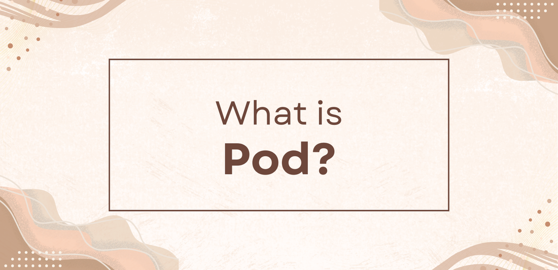 What is a Pod?