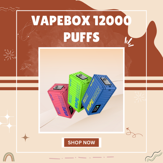Vapebox 12000 Puffs
